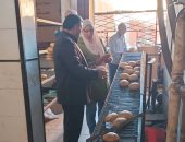 تحرير 21 محضر مخالفات مخابز خلال حملات تموينية بمنوف والباجور فى المنوفية