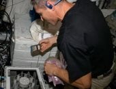 العلماء يستخرجون المعادن من النيازك فى محطة الفضاء باستخدام الميكروبات