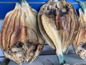 موسم البكالا بدأ.. حكاية تجهيز السمك المجفف لبيعه نهاية شهر رمضان المبارك.. تعد أكلة تراثية توارثها أهالى مدن البحر الأحمر عبر الأجيال.. وارتبطت بالأعياد والمناسبات الكبرى مثل عيد الفطر وشم النسيم.. صور