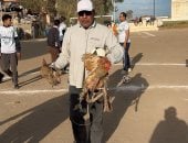 ضربة البداية بأقدام فرختين ومشنة فاكهة لأحسن لاعب دورة رمضانية بالدقهلية.. فيديو