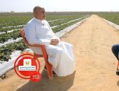 قصة كفاح فلاح تحول للزراعة التصديرية بالصحراء فى «أجمل ناس».. فيديو