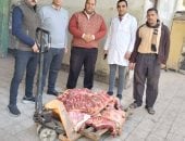 471 مخالفة تموينية فى أسبوع واحد بسوهاج.. صور