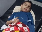 قطيع من الكلاب الضالة ينهشون جسد طفل فى دمنهور.. اعرف التفاصيل  