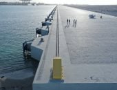 محطة تحيا مصر 2.. عملاق لوجيستي عالمي على رصيف 100 بميناء الدخيلة