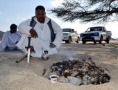 السلات والجبنه.. أشهر وجبات ومشروبات تزين موائد رمضان بحلايب وشلاتين.. صور