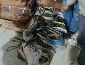 ضبط 13 طن أغذية غير صالحة للاستهلاك الآدمى فى حملة تموينية بنبروه بالدقهلية