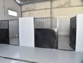 الانتهاء من 95% من الشلتر الأول لحل أزمة الكلاب الضالة في بورسعيد.. صور