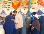 رئاسة مركز الداخلة: طرح فراخ مجمدة وزن 1,1 كيلو بسعر 75 جنيها