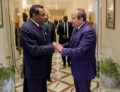 كامل إدريس بعد لقاء الرئيس السيسي: شراكتنا مع مصر ركيزة للأمن والازدهار