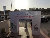 الأسواق الحضارية تقضى على العشوائية فى القاهرة.. سوق المنهل الجديد بمدينة نصر يخلص سكان المنطقة التاسعة من أزمة تربية وذبح الخراف بالشارع.. وسوق الأمل يقضى على الزحام والفوضى بالتبة ويخدم مدينة الأمل الجديدة