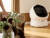 لمربى القطط.. صندوق فضلات ذكى يراقب صحة قطتك لحظة بلحظة