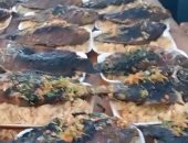 1400 وجبة للمتعففين ودور كبار السن والمغتربين بمائدة بر الوالدين بكفر الشيخ.. فيديو