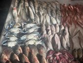 انتعاشة في سوق الأسماك الحضاري ببورسعيد.. البوري والجمبري والسيبيا بالمقدمة