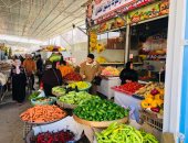 تطوير الأسواق الحضارية بالدقهلية للقضاء على العشوائية ودعم التجارة المنظمة