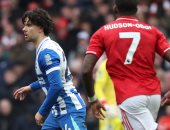 نتيجة مباراة برايتون ضد نوتينجهام فورست فى الدوري الإنجليزي