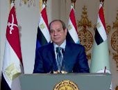 الرئيس السيسى:  أكدنا دعم الأشقاء والوقوف معهم في مواجهة الأزمات