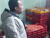 محافظ الدقهلية ضبط 1.7 طن منتجات لحوم غير صالحة فى حملة للطب البيطرى