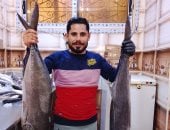 توافد المواطنين على سوق الأسماك بجنوب سيناء.. فيديو