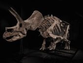 هيكل عظمى نادر لديناصورات محتمل يتجاوز 5 ملايين دولار فى مزاد عالمى