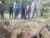 إصابة 6 أشخاص فى حادث انقلاب سيارتين بزراعى البحيرة   