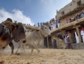 "المدانة التراثية" تستحضر موروث الآباء والأجداد شمال عسير فى السعودية