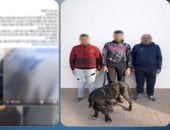 بلطجة بـ«كلب».. الأمن يكشف حقيقة فيديو التعدى على سيدة بالمنتزه