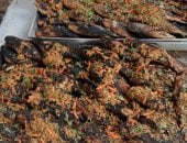 2000 وجبة أسماك ورز صيادية وتمور وسلطات وعصير للصائمين بكفر الشيخ.. فيديو