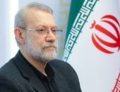 لاريجاني: لم تقف أي دولة إسلامية إلى جانب إيران في المواجهة