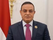 النائب مختار همام: الرئيس السيسي يقود جهود تثبيت التهدئة في غزة ودعم حقوق الفلسطينيين