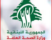 ماكرون وبري يتهاتفان.. 7 قتلى وجرحى جراء الغارات الإسرائيلية وإخلاء مستشفيات الجنوب