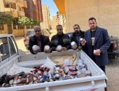 ضبط سلع ومنتجات منتهية الصلاحية ومجهولة المصدر بحملات للتموين بالأقصر