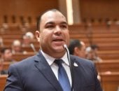 النائب أحمد عصام: الرئيس السيسي حريص على ترسيخ قيم التضحية والانتماء لدى الأجيال