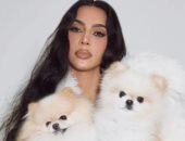 كيم كارداشيان تواجه موجة انتقادات حادة بسبب كلابها الجدد.. ما السبب؟