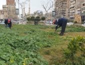 من شجرة الدر إلى حديقة الأسرة.. تطوير شامل للحدائق العامة بالدقهلية