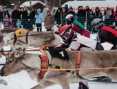 منافسات ومغامرات على الجليد.. سباقات حيوان الرنة فى فنلندا تبهر المشاهدين