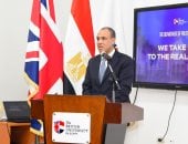 وزير الخارجية: مصر تسعى لمعالجة جذور الأزمات لتحقيق الأمن والاستقرار