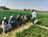 زراعة الأقصر تطلق مشروع مسقى "الريقية" لتحسين منظومة الرى.. التفاصيل