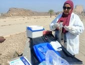 تطعيم 319 كلب ضال ضد السعار فى 22 منطقة بأسوان