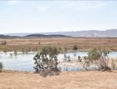 "كبة النخلة" وادى يضم بحيرات طبيعية من مياه الأمطار فى قلب الغردقة.. صور