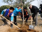 يوم الشجرة فى الصين.. ما قصته وهدف الاحتفاء به؟