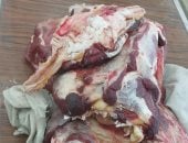 ضبط كميات من اللحوم غير صالحة للاستهلاك الآدمى وتحرير 210 محاضر تموينية بأسيوط