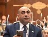 نائب بمجلس الشيوخ: مصر تعمل على منع التصعيد العسكرى فى المنطقة