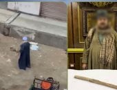 سقط بـ«العصا الخشبية».. ضبط المتهم بالتعدى على الكلاب الضالة فى الجيزة