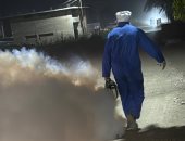مديرية الصحة بالأقصر تكثف حملات مكافحة الحشرات الطائرة للحفاظ على الصحة العامة