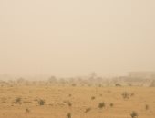 رياح شديدة تضرب سيناء ظهر اليوم.. والأهالي: لم نشهد مثلها من قبل