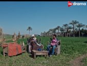 مسلسل بيبو الحلقة 10.. بيبو يكتشف إمبراطورية أبو دياب