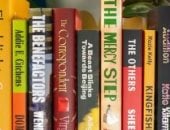 بمناسبة العيد.. تعرف على القوائم الطويلة لجائزتي البوكر والمرأة للخيال