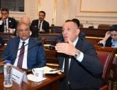 وكيل خارجية الشيوخ يشيد بدور الدبلوماسية المصرية في حماية مصالح الدولة