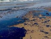 القطران يغزو الشواطئ.. تسرب نفطي يلوث مئات الكيلومترات في المكسيك.. فيديو