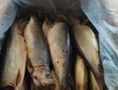 استعدادات كبيرة بمحال الأسماك المملحة استعدادا لعيد الفطر.. الفسيخ والرنجة والسردين أبرز المنتجات إقبالا.. أصحاب المحال: نبدأ فى الاستعداد للموسم منتصف شعبان.. الأهالي: طعم ومذاق لا يقاوم فى عيد الفطر (صور)